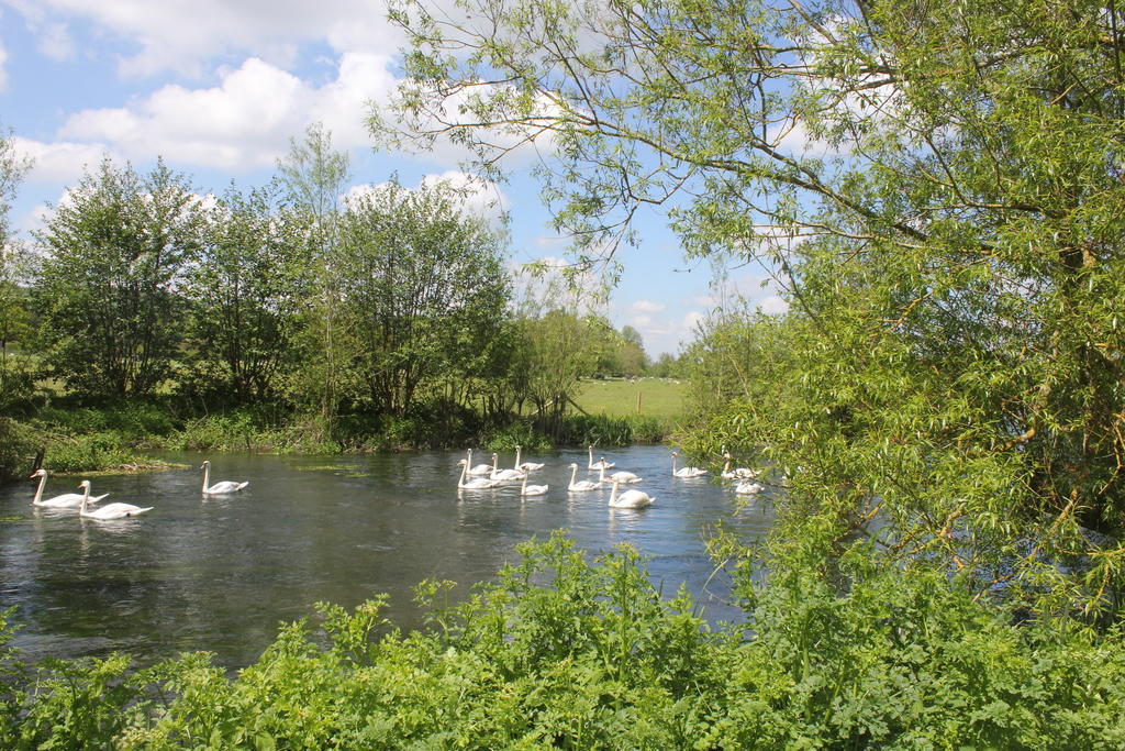 فندق The Swan At Stoford ستابلفورد المظهر الخارجي الصورة
